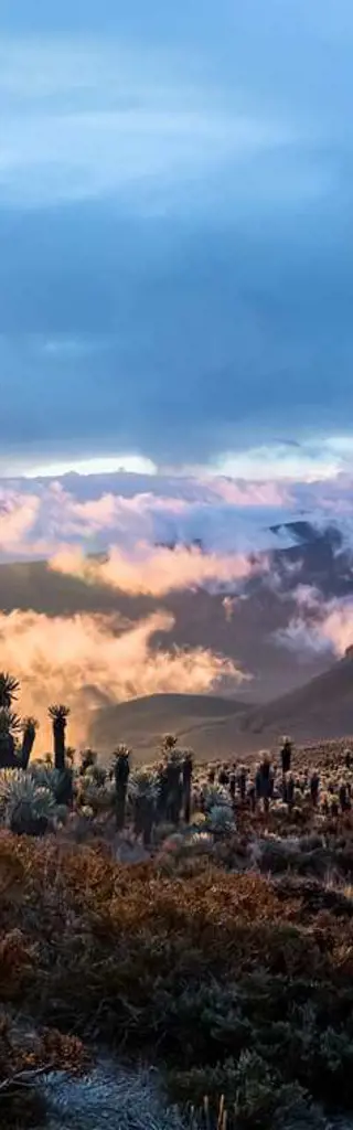 Trekking, Natur und Kultur im vielfältigen Kolumbien